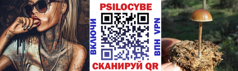 Псилоцибиновые грибы мицелий  закладка  Сусуман 